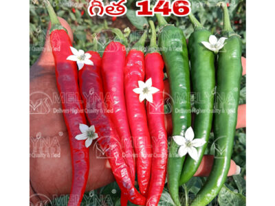 MELYNA GEETHA 146